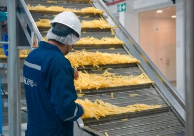 | #Economía Gobierno admite que planta procesadora de papa en El Alto opera…