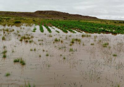 | #Sociedad 102 municipios afectados por lluvias, Gobierno justifica que no puede atender…