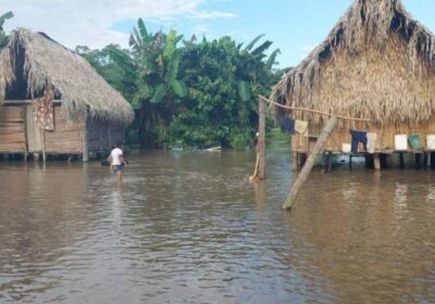 | #PueblosIndígenas 𝐋𝐥𝐮𝐯𝐢𝐚𝐬 𝐩𝐫𝐨𝐯𝐨𝐜𝐚𝐧 𝐢𝐧𝐮𝐧𝐝𝐚𝐜𝐢𝐨𝐧𝐞𝐬 𝐞𝐧 𝐜𝐨𝐦𝐮𝐧𝐢𝐝𝐚𝐝𝐞𝐬 𝐢𝐧𝐝í𝐠𝐞𝐧𝐚𝐬 𝐝𝐞𝐥 𝐧𝐨𝐫𝐭𝐞 𝐩𝐚𝐜𝐞ñ𝐨, 𝐩𝐢𝐝𝐞𝐧 𝐚𝐲𝐮𝐝𝐚…