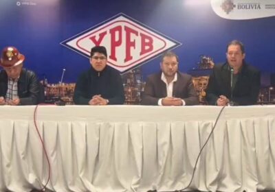 | “Estamos ofreciendo a los sectores productivos (un plan para la importación de…