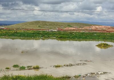 | #Economía 𝐏𝐞𝐪𝐮𝐞ñ𝐨𝐬 𝐩𝐫𝐨𝐝𝐮𝐜𝐭𝐨𝐫𝐞𝐬 𝐩𝐢𝐝𝐞𝐧 𝐬𝐨𝐥𝐮𝐜𝐢ó𝐧 𝐮𝐫𝐠𝐞𝐧𝐭𝐞 𝐚 𝐥𝐚 𝐟𝐚𝐥𝐭𝐚 𝐝𝐞 𝐝𝐢é𝐬𝐞𝐥, 𝐥𝐚𝐬…