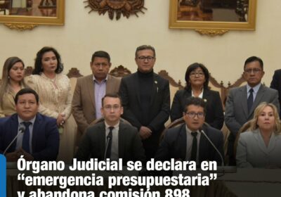 | El Tribunal Supremo de Justicia, el Tribunal Agroambiental y el Consejo de…