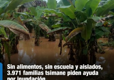 | Por ahora no se han reportado enfermedades por las aguas acumuladas, pero…