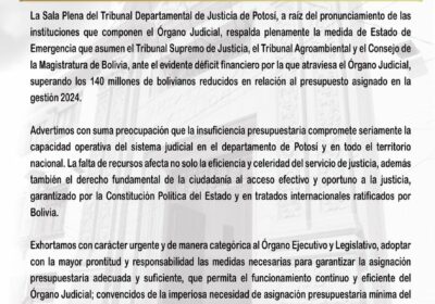 | El Tribunal Departamental de Justicia de #Potosí expresa su respaldo a la…