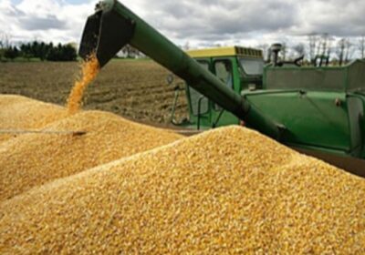 | #Economía 𝐀𝐧𝐭𝐞 𝐥𝐚 𝐟𝐚𝐥𝐭𝐚 𝐝𝐞 𝐝ó𝐥𝐚𝐫𝐞𝐬, 𝐀𝐧𝐚𝐩𝐨 𝐞𝐱𝐢𝐠𝐞 𝐚𝐥 𝐆𝐨𝐛𝐢𝐞𝐫𝐧𝐨 𝐥𝐞𝐯𝐚𝐧𝐭𝐚𝐫 𝐥𝐚…