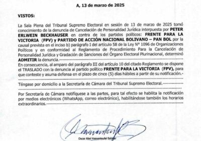 | El TSE admitió la denuncia por la cancelación de la personería jurídica…