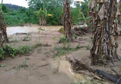 | #PueblosIndígenas 𝐋𝐚 𝐏𝐚𝐳: 𝟐𝟑 𝐜𝐨𝐦𝐮𝐧𝐢𝐝𝐚𝐝𝐞𝐬 𝐜𝐨𝐧 𝐦á𝐬 𝐝𝐞 𝟔𝟎𝟎 𝐟𝐚𝐦𝐢𝐥𝐢𝐚𝐬 𝐢𝐧𝐝í𝐠𝐞𝐧𝐚𝐬 𝐝𝐞…