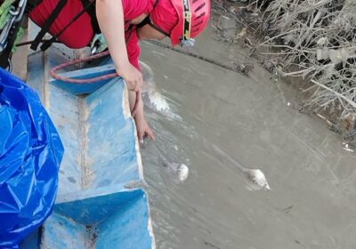 Encontraron el cuerpo, sin vida, de Fancisco Apuri desaparecido en Rio Challana ya hace…