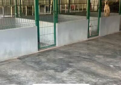 🇲🇽 | El refugio @Caninos911, en Villahermosa, Tabasco, atraviesa una crisis económica: Necesitan ayuda…