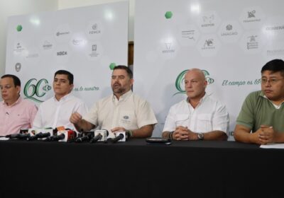 #GrupoFides | #ANF #Economía 𝐂𝐨𝐦𝐢𝐭é 𝐌𝐮𝐥𝐭𝐢𝐬𝐞𝐜𝐭𝐨𝐫𝐢𝐚𝐥 𝐜𝐚𝐥𝐢𝐟𝐢𝐜𝐚 𝐝𝐞 𝐮𝐧 “𝐬𝐡𝐨𝐰” 𝐲 𝐮𝐧𝐚 “𝐛𝐮𝐫𝐥𝐚” 𝐥𝐚…
