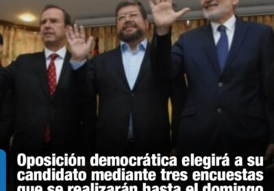#GrupoFides | #ANF | #Democracia Los candidatos que más se perfilan son Samuel Doria…