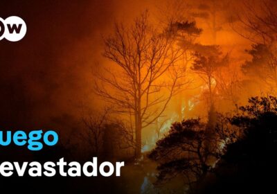 Corea del Sur sufre el peor incendio de su historia Los incendios forestales que…