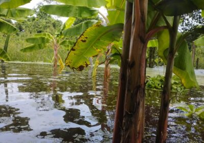 #GrupoFides | [Fotos] Comunidades del Territorio Indígena Multiétnico (TIM), del departamento del Beni, fueron…