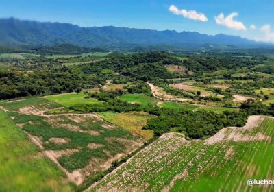 La nueva Planta de Agroinsumos en Yacuiba está en camino a convertirse en un…