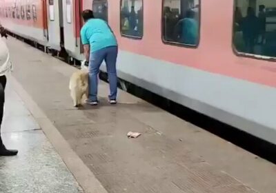 🇮🇳 | El impactante video de un perro que cayó a las vías de…