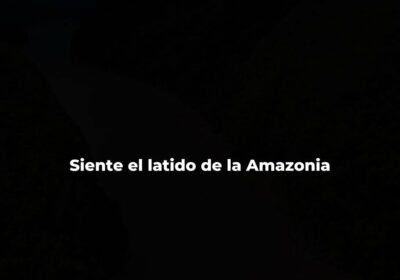 ¡Rurrenabaque y el Parque Nacional Madidi te invitan a vivir una aventura inolvidable! Situado…