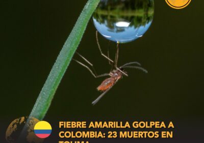 🇨🇴 | ALERTA: Brote de fiebre amarilla en Colombia deja 57 casos confirmados y…