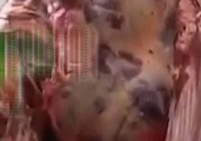 #GrupoFides | #ANF Los comercializadores de carne de res de Cochabamba manifestaron su disposición…