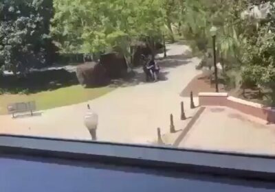 🇺🇸 | ÚLTIMA HORA: Al menos 2 muertos y 5 heridos en tiroteo en…