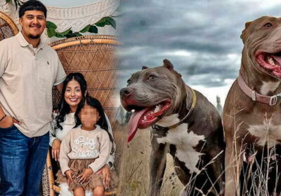 🇺🇸 | Tragedia en Indiana: una niña de 4 años murió atacada por 6…