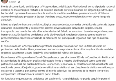 #GrupoFides | #ANF La diputada María René Álvarez rechaza el comunicado de la Vicepresidencia…