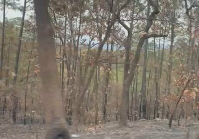 🇲🇽 | LO ÚLTIMO: Dos camionetas quedaron calcinadas, luego de que artefactos explosivos habrían…