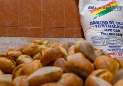 #GrupoFides | #ANF #Economía En ocho meses, Emapa gastó Bs 107,5 millones en la…