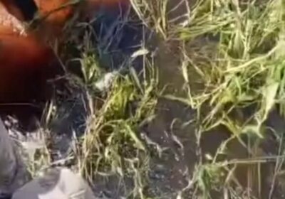 #Urgente | Rescatan y evacúan en un helicóptero a los cinco ocupantes de la…