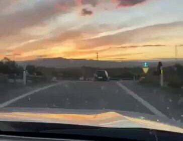 🇪🇸 | ¡Indignante! El video muestra a un perro persiguiendo el vehículo de su…