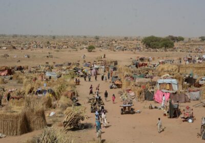 | Un ataque en Darfur, Sudán, mató a 14 miembros de una familia, informó…
