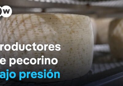 Aranceles de Trump golpean productos estrella de Italia El nuevo arancel del 10 % impuesto…