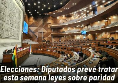 El pleno de Diputados ya aprobó la ley del debate obligatorio y otras iniciativas…