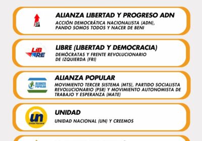 #Elecciones2025 | Estos son los partidos políticos y alianzas que pueden registrar a sus…