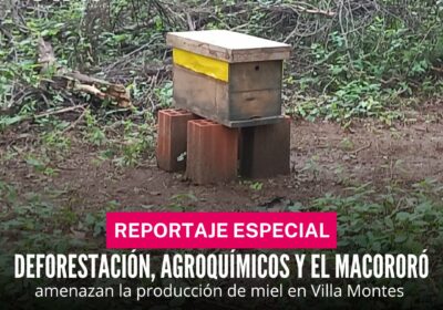 [ #Reportaje] Según el estudio de la Fundación Amigos de la Naturaleza (FAN) durante…