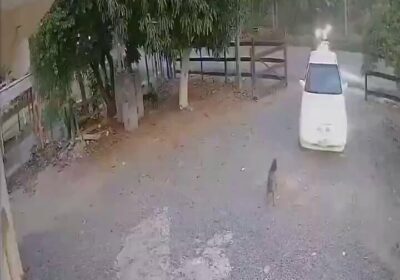 🇲🇽 | Un hombre fue asesinado a quemarropa en Tabasco, México. Isidro Medina, de…