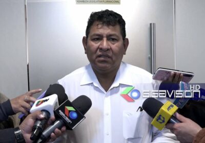 El jefe de Bancada del MAS- IPSP en diputados José Luis Flores advirtió transfugio…
