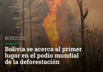 Bolivia ocupa el segundo lugar del mundo en deforestación de bosques, otro de los…