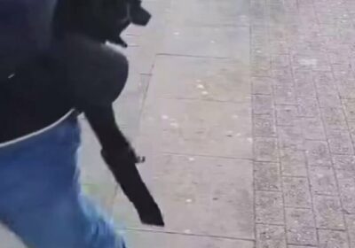 🇩🇪 | Al menos 12 heridos tras ser atacados por una mujer con un…