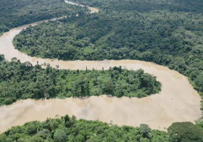 #GrupoFides | #ANF #CuidadoDeLaCasaComún Ingenieros forestales alertan que decreto impulsa desmontes y apropiación de…