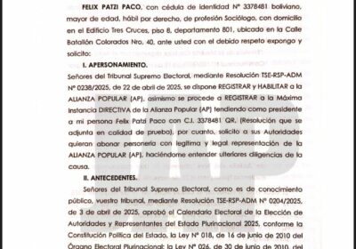 Mientras Alianza Popular pide la devolución de sus papeles de inscripción, Félix Patzi pide…
