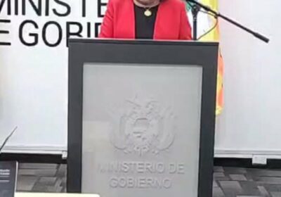 Carola Arraya es ahora la viceministra de Seguridad Ciudadana. Fue directora de Lucha contra…