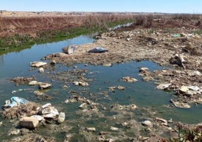 #GrupoFides | #ANF 𝐄𝐥𝐞𝐜𝐜𝐢𝐨𝐧𝐞𝐬 𝟐𝟎𝟐𝟓: 𝐉𝐮𝐬𝐭𝐢𝐜𝐢𝐚 𝐚𝐦𝐛𝐢𝐞𝐧𝐭𝐚𝐥, 𝐞𝐧𝐞𝐫𝐠í𝐚𝐬 𝐫𝐞𝐧𝐨𝐯𝐚𝐛𝐥𝐞𝐬 𝐲 𝐞𝐜𝐨𝐥𝐨𝐠í𝐚 𝐢𝐧𝐝í𝐠𝐞𝐧𝐚 𝐬𝐨𝐧 𝐚𝐥𝐠𝐮𝐧𝐚𝐬…