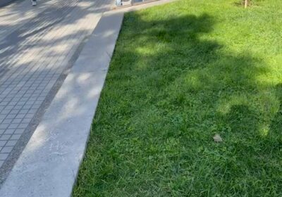 🇨🇱 | Adolescente de 17 años muere tras ser golpeado y apuñalado en plena…