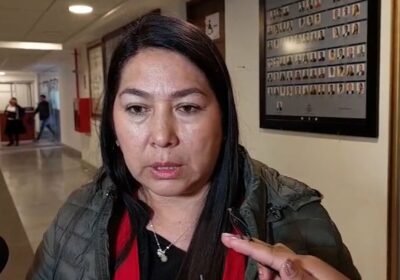 #GrupoFides | #ANF La diputada del MAS, Rosario García, afirmó que las movilizaciones por…