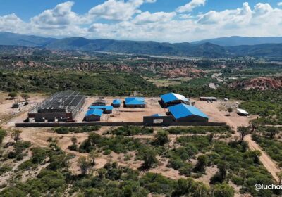 Estamos seguros que la industrialización con sustitución de importaciones es la solución estructural a…