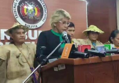 El Tribunal Constitucional Plurinacional (TCP) ordena al Instituto Nacional de Reforma Agraria (INRA) que…