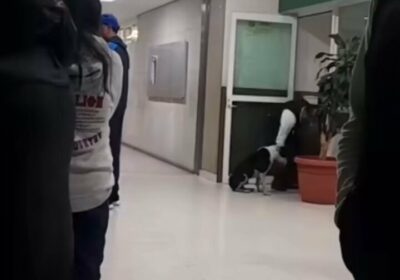 🇲🇽 | Un trabajador de una clínica en México detuvo todo para secar y…