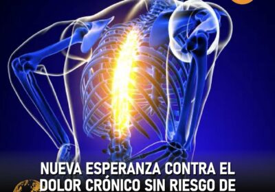 🇺🇸 | La Universidad de Duke presentó SBI-810, un nuevo analgésico no opioide que…