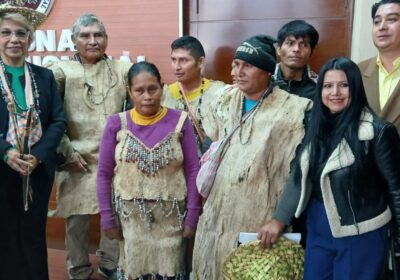 #GrupoFides | #ANF #PueblosIndígenas 𝐓𝐬𝐢𝐦𝐚𝐧𝐞𝐬 𝐞𝐱𝐢𝐠𝐞𝐧 𝐪𝐮𝐞 𝐬𝐞 𝐜𝐮𝐦𝐩𝐥𝐚 𝐥𝐚 𝐬𝐞𝐧𝐭𝐞𝐧𝐜𝐢𝐚 𝐝𝐞𝐥 𝐓𝐂𝐏 𝐪𝐮𝐞…