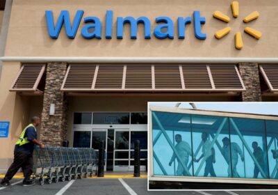 🇺🇸 | Walmart despide a trabajadores migrantes después de que la Corte Suprema permitió…